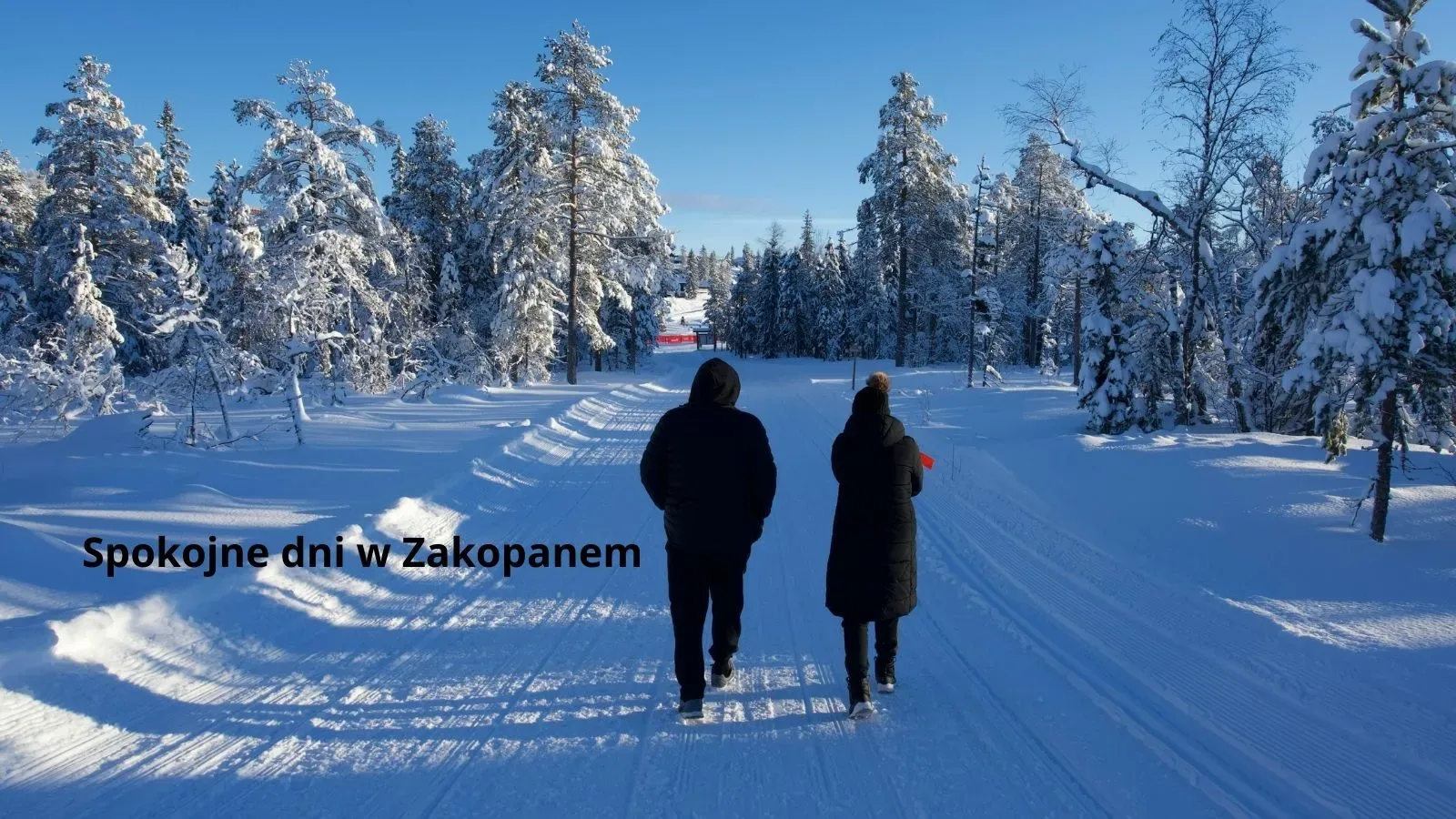 Spokojny zimowy spacer w Zakopanem w styczniu, cisza i śnieżny krajobraz