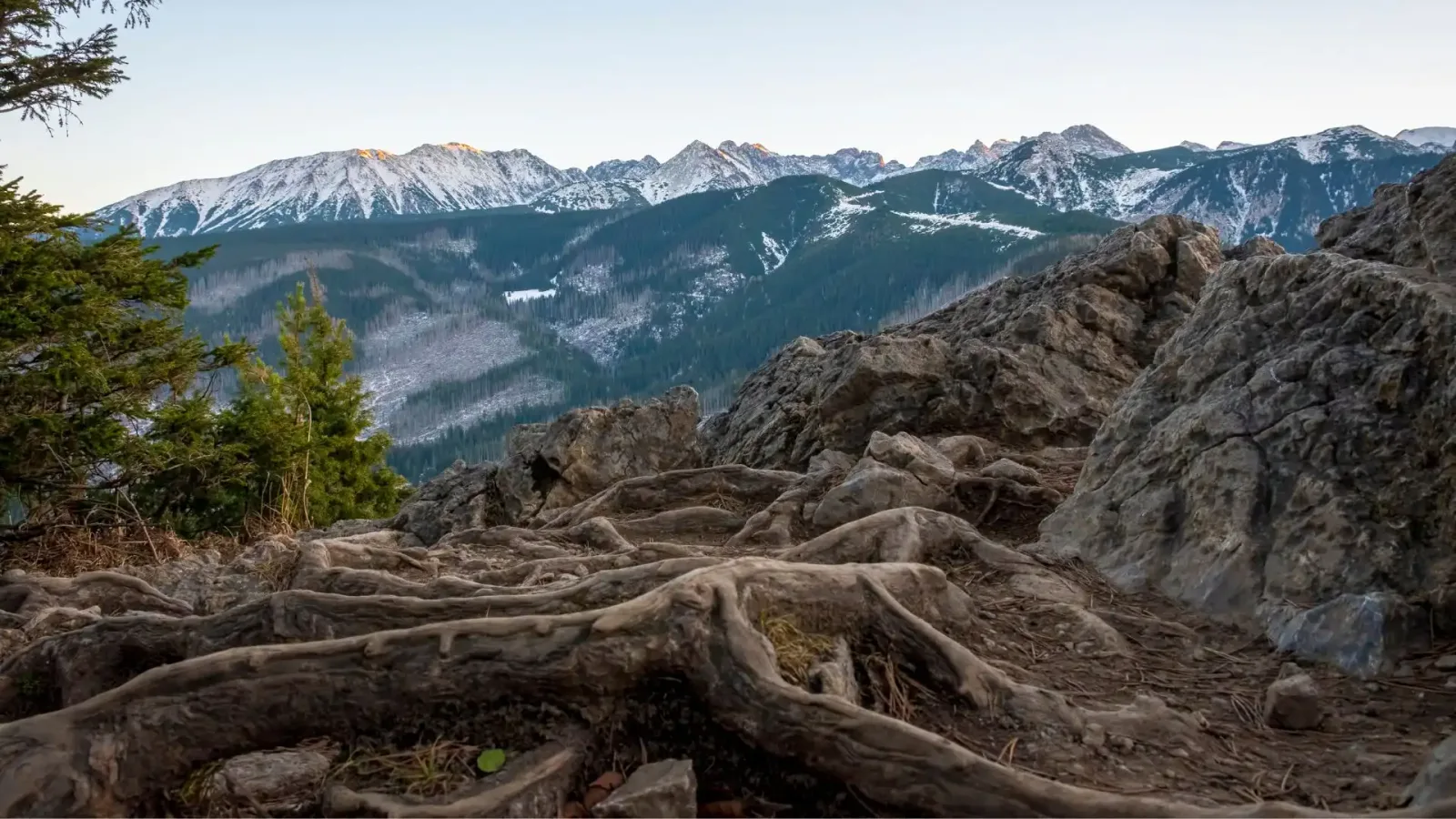 Panorama z Nosala - Zakopane