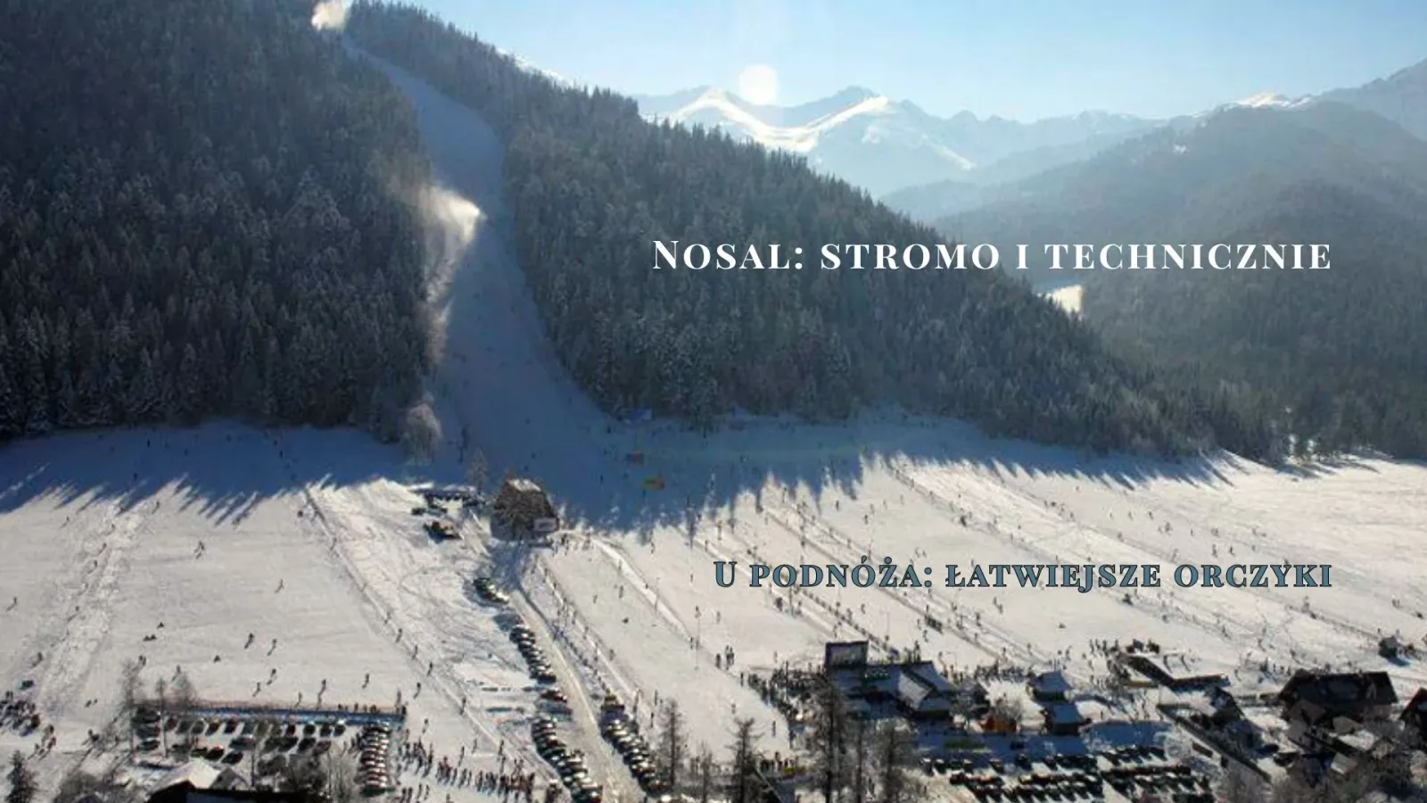 Nosal w Zakopanem – stromy i techniczny stok narciarski oraz łatwiejsze trasy u podnóża