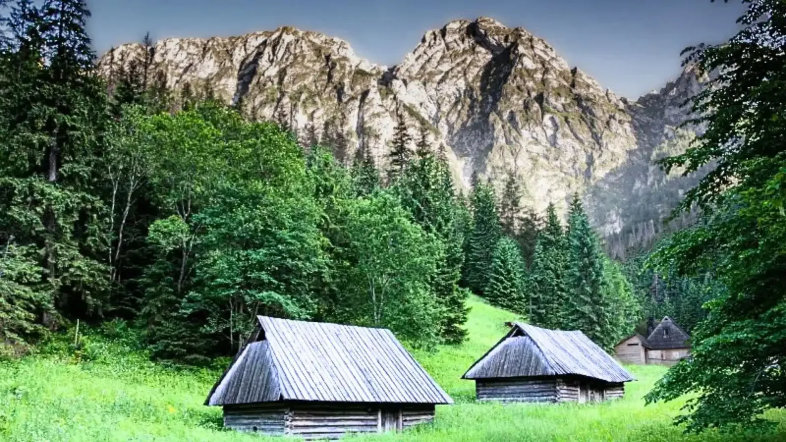 Polana w Dolinie Strążyskiej z widokiem na Giewont