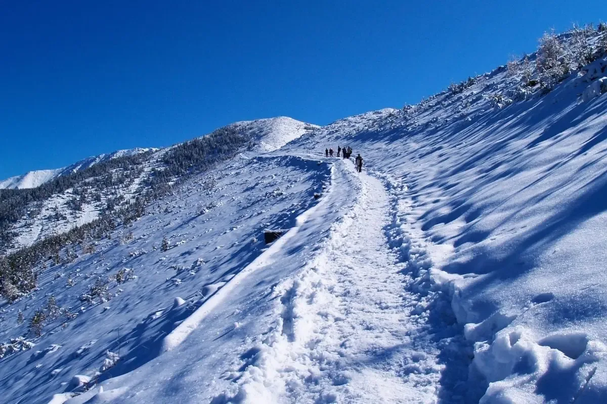 Zimowy szlak z widokiem na Tatry – lekka trasa spacerowa w Zakopanem dla turystów szukających atrakcji poza stokiem
