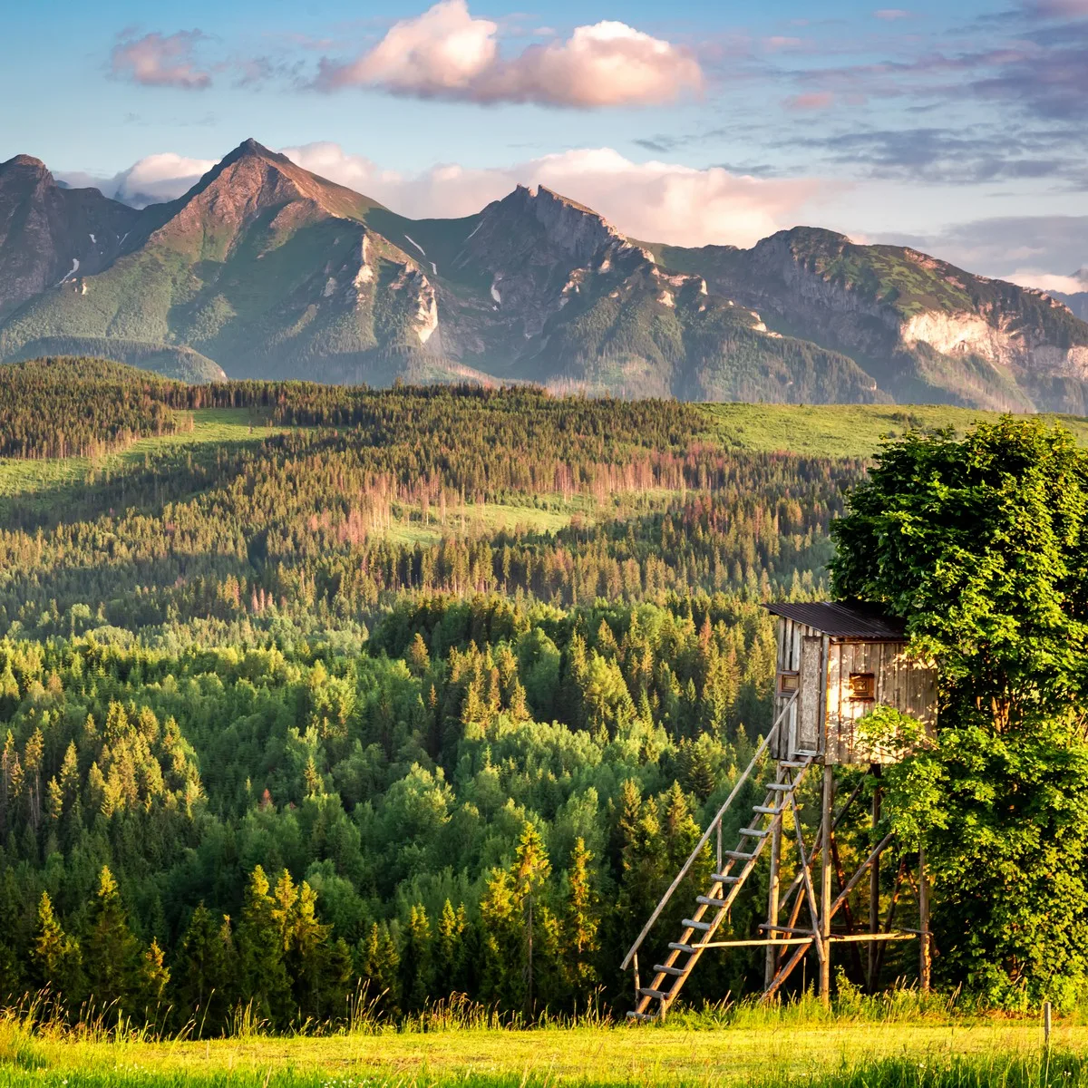 Drewniana wieżyczka i Tatry o zachodzie słońca